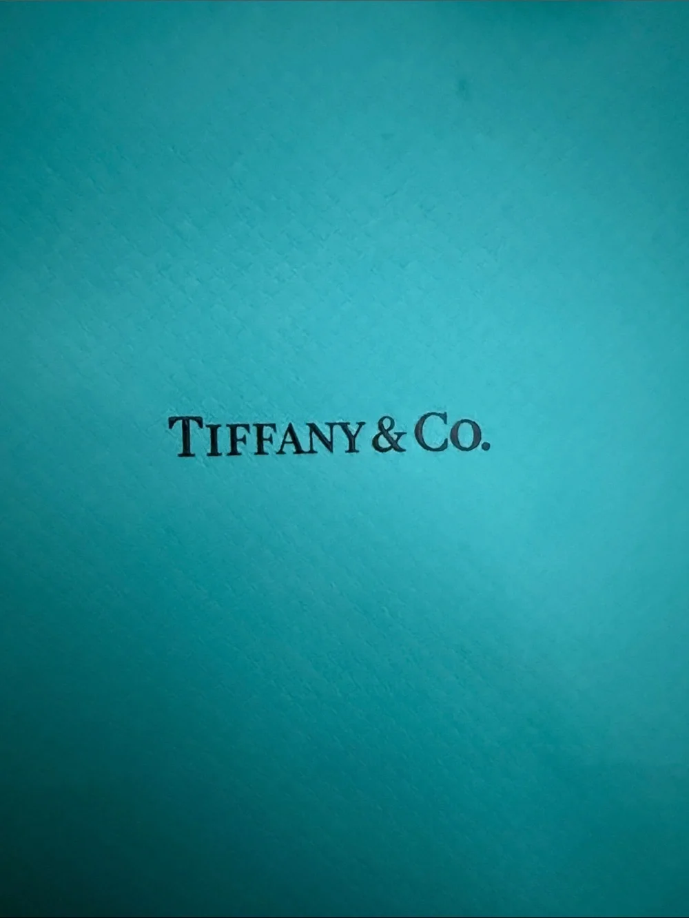 Small Tiffany & Co. shopping bag